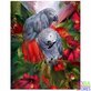 Diamond Painting Perroquets