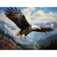 Diamond Painting Aigle
