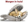 Puppy in vleugels 02