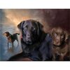 Diamond Painting Hond - Labrador 05