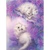 Diamond Painting Twee witte kittens