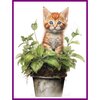 Diamond Painting Kitten in plantenpot