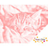HappyDots DOT Painting Slapende Kitten 30x40cm - Stippelschilderij Rood