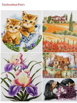 Borduur Pakket Roos met vlinders 14CT Voorbedrukt (26x30cm)