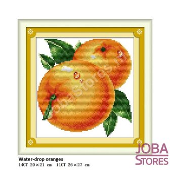 Borduur Pakket Fruit 01 14CT voorbedrukt (20x21cm)