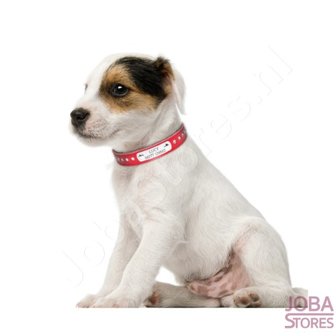 Collier de chien personnalis&eacute; 006 avec votre propre nom