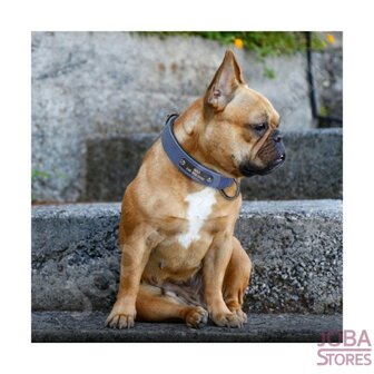 Collier de chien personnalis&eacute; 010 avec votre propre nom