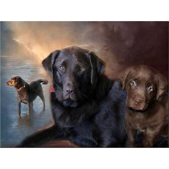 Diamond Painting Hond - Labrador 05