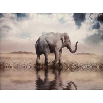 Diamond Painting Olifant 01