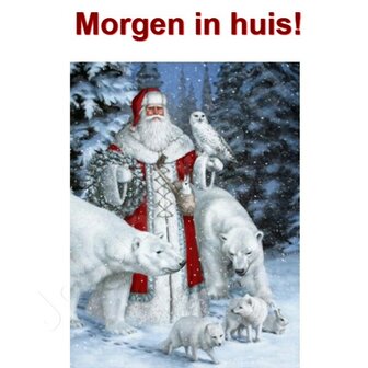 Diamond Painting Kerstman met ijsberen 40x50cm