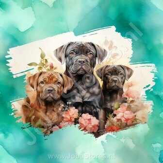 Diamond Painting Aquarel Hond - Bullmastiff