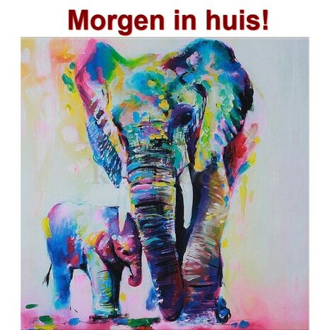 Diamond Painting Olifant 40x40cm