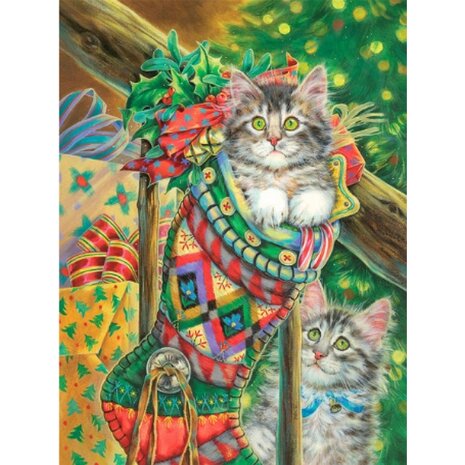 Diamond Painting Kitten in Kerstsok