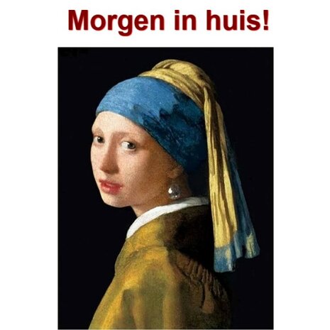 Diamond Painting Fille &agrave; la perle 30x40cm