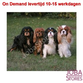 On Demand Diamond Painting 0058