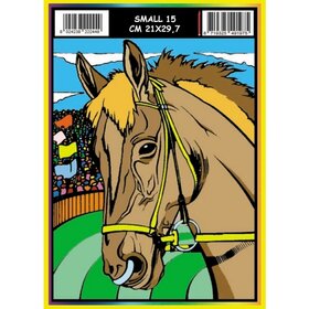 ColorVelvet Velvet coloriage petit n°15 sans marqueurs (21x29cm)