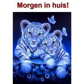 Diamond Painting Tigres Blancs 30x40cm