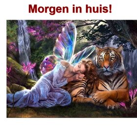 Diamond Painting Fée avec Tigre 30x40cm