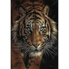 Diamond Painting Tiger Portrait 03 (taille et forme des pierres au choix)