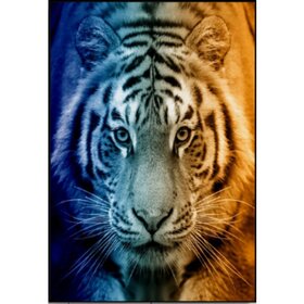 Diamond Painting Tiger Portrait 04 (taille et forme des pierres au choix)