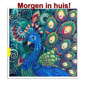 Diamond Painting Spécial Paon 25x25cm