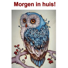 Diamond Painting Blauwe Uil 40x50cm - rond