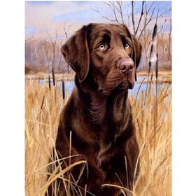 Diamond Painting Chien - Labrador 01 (taille et forme des pierres au choix)