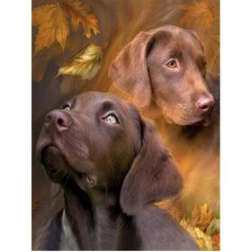 Diamond Painting Chien - Labrador 03 (taille et forme des pierres au choix)