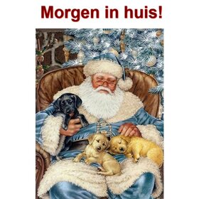Diamond Painting Kerstman met puppies 40x50cm