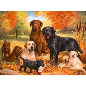 Diamond Painting Chien - Labrador 04 (taille et forme des pierres au choix)