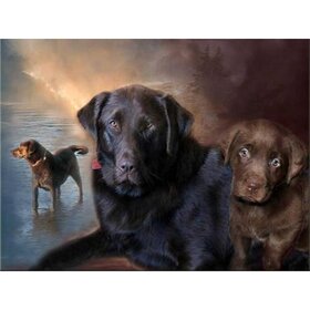 Diamond Painting Chien - Labrador 05 (taille et forme des pierres au choix)