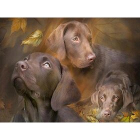 Diamond Painting Chien - Labrador 06 (taille et forme des pierres au choix)