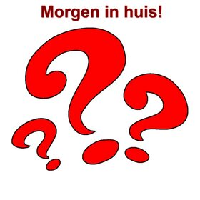 Mystery Diamond Painting 30x30cm (Chats sur le thème)