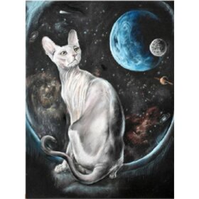 Diamond Painting White Nude Cat (taille et forme des pierres au choix)