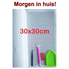 Diamond Painting Toile vierge + toolkit 30x30cm