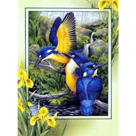 Diamond Painting Oiseaux pittoresques 02 (taille et forme des pierres de votre choix)