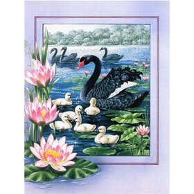Diamond Painting Oiseaux pittoresques 03 (taille et forme des pierres de votre choix)