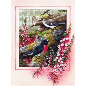 Diamond Painting Oiseaux pittoresques 05 (taille et forme des pierres de votre choix)