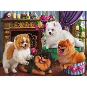 Diamond Painting Chiens - Poméranien (taille et forme des diamants au choix)