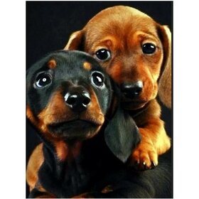 Diamond Painting Chien - Teckel 02 (taille et forme des pierres au choix)