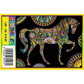 ColorVelvet Velvet coloriage grand n° L85 sans marqueurs (47x35cm)