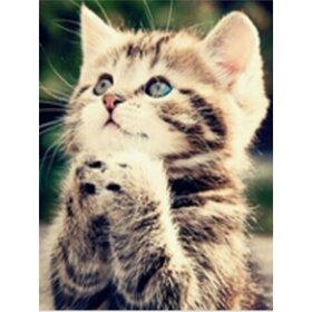 Diamond Painting Petit chat priant (taille et forme des pierres de votre choix)