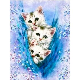 Diamond Painting Trois chatons blancs (taille et forme des pierres de votre choix)