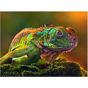 Diamond Painting Iguane