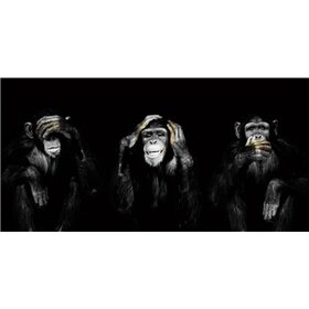 Diamond Painting Entendre Voir Parler Les singes de la sagesse