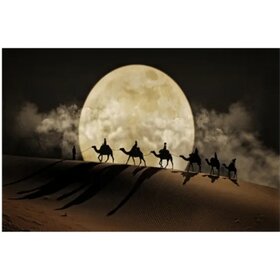 Diamond Painting Chameaux dans le désert