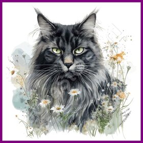 Diamond Painting Chat Maine Coon 01