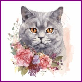 Diamond Painting Chat British Shorthair 03