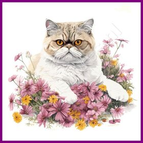 Diamond Painting Chat Exotique 03