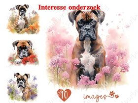 Diamond Painting interesse onderzoek